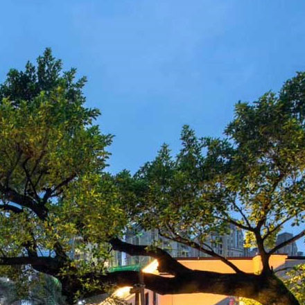 温泉导视设计公司考虑树冠生态脆弱性