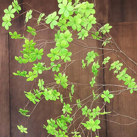 体育场馆温泉导视设计公司，赛时与平日