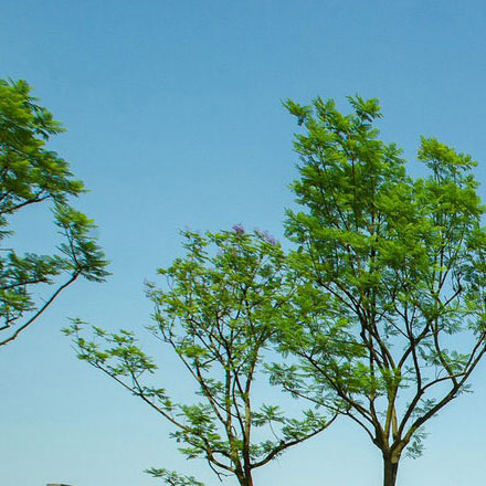 学校美术馆标识设计说明