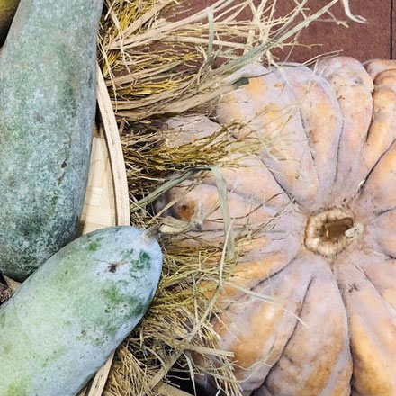 企业总部温泉导视设计公司，效率文化