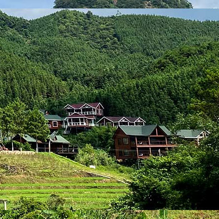 美术馆标识设计招标