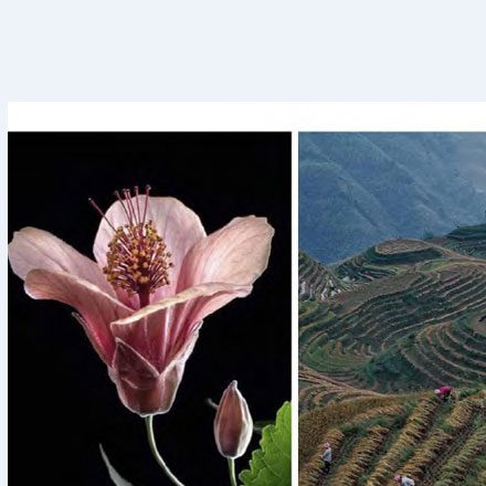 加急美术馆标识设计